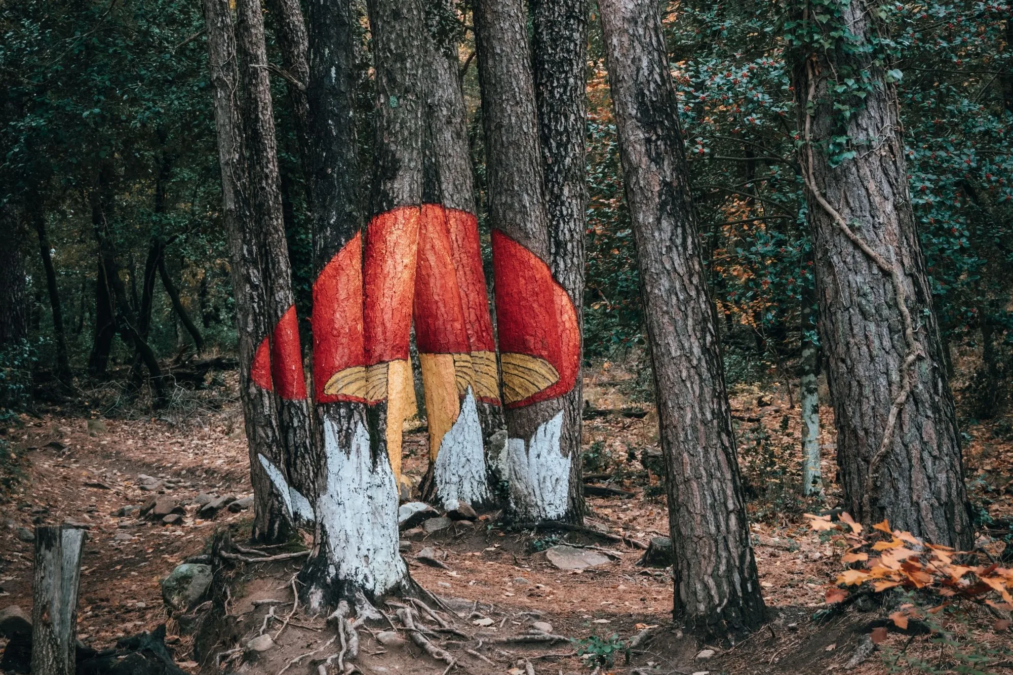 Bosque Pintado de Poblet