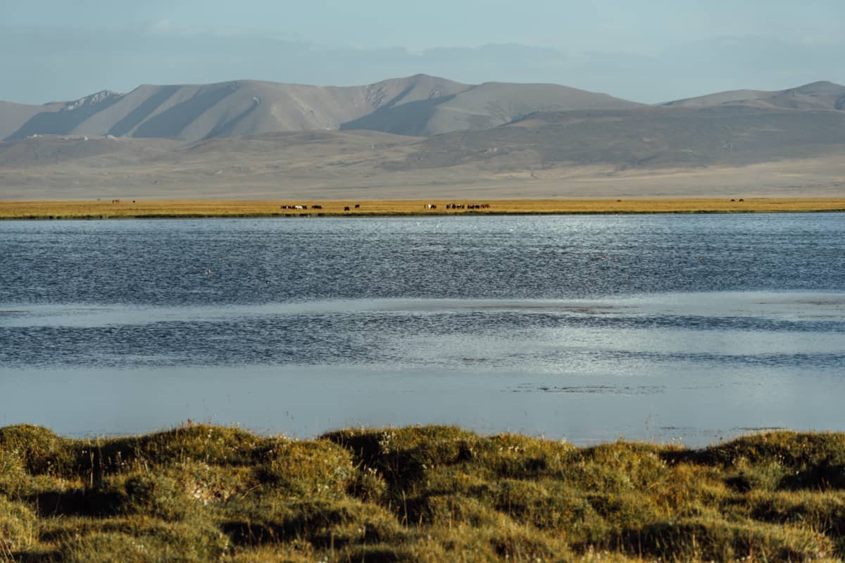Lago de Song Kul, indispensable en la ruta de 15 días por Kirguistán.