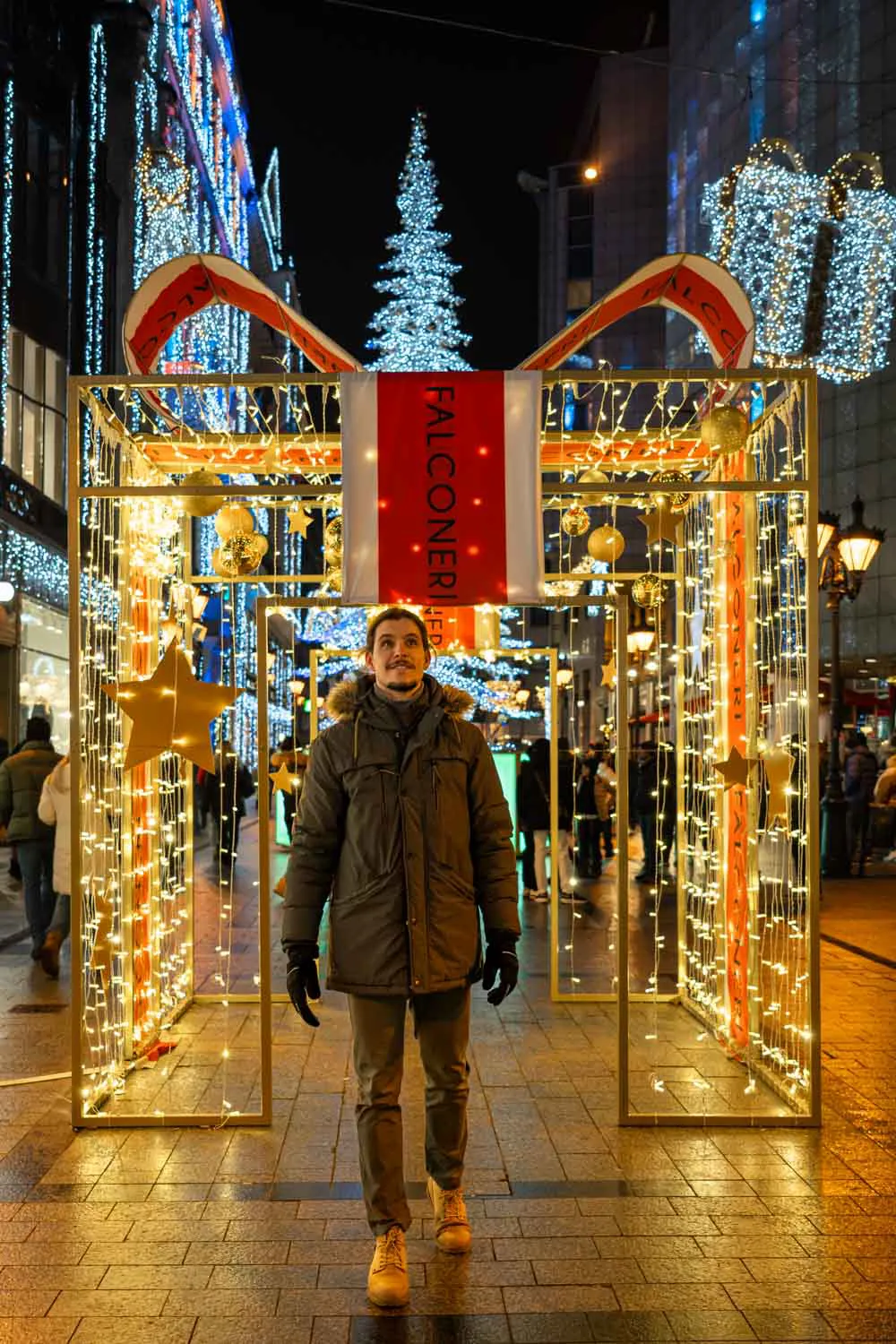 Budapest en navidad