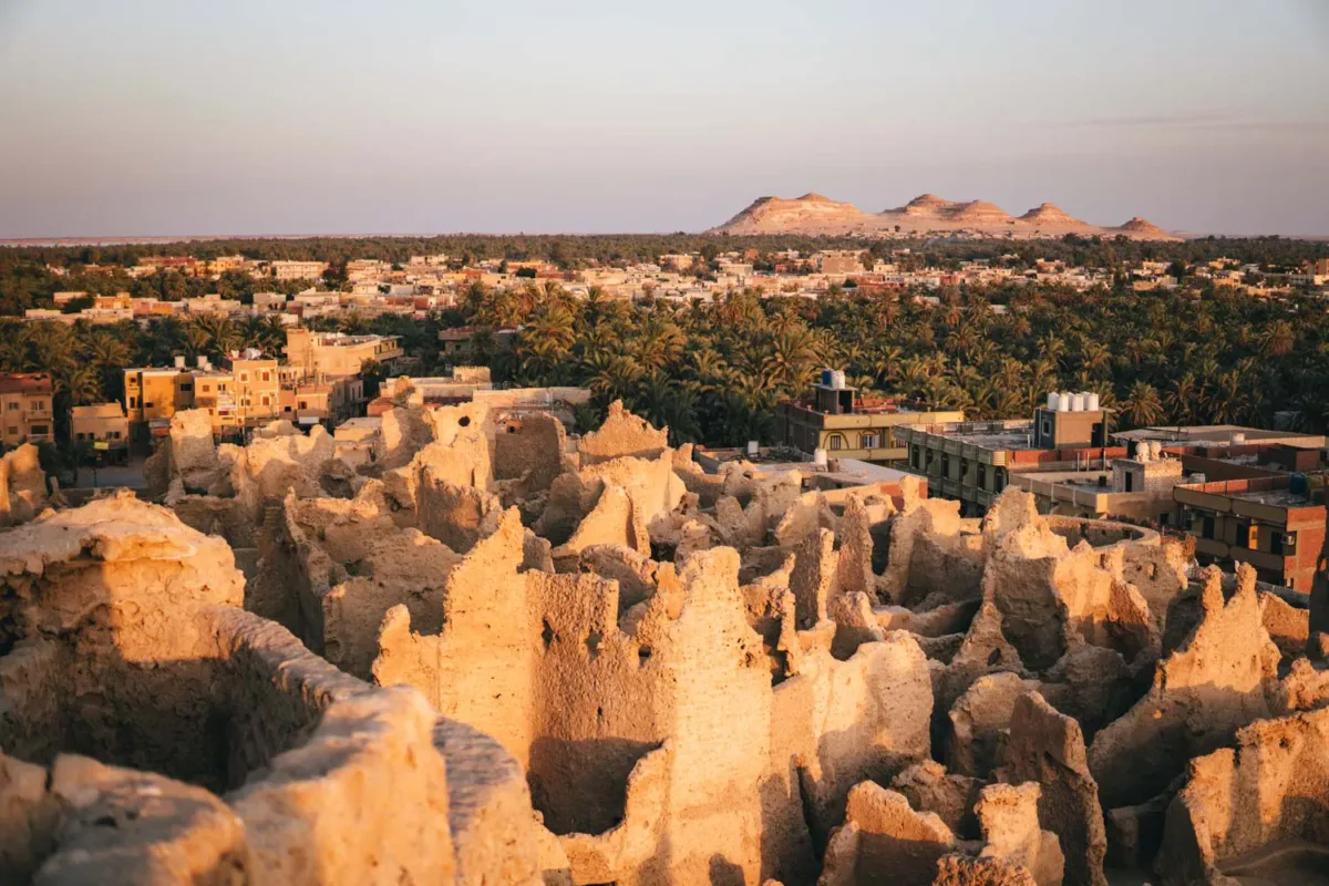 Oasis de Siwa por libre