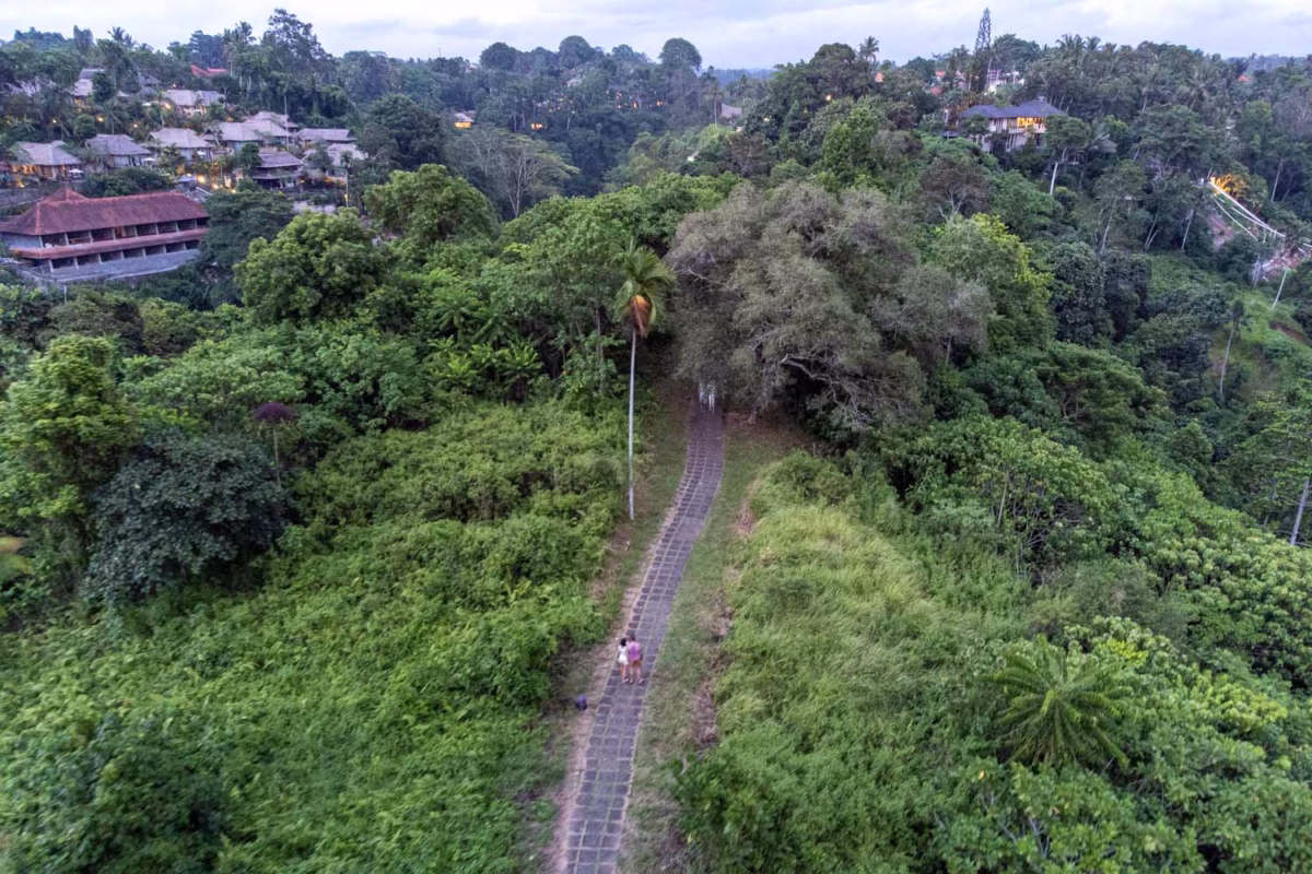 Que hacer en Ubud