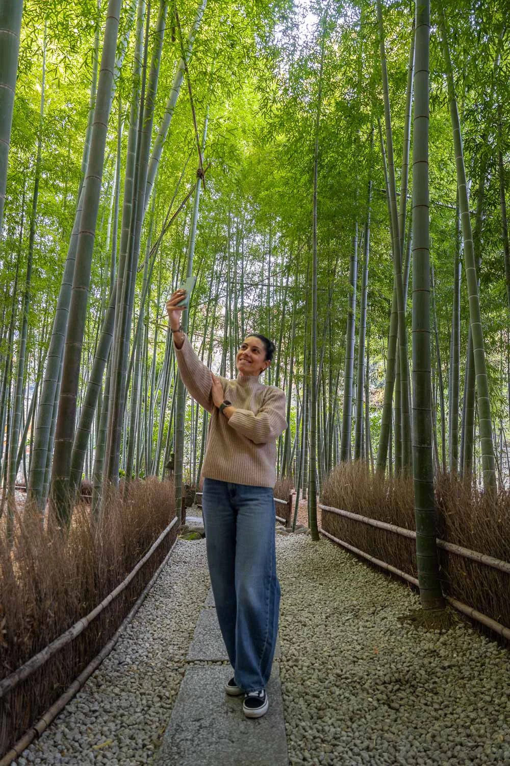 compartiendo vídeos con el móvil utilizando internet en Japón
