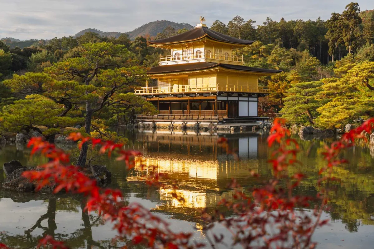 El pabellón dorado al atardecer, con detalles de flores a primera vista, en Kioto, Japón.