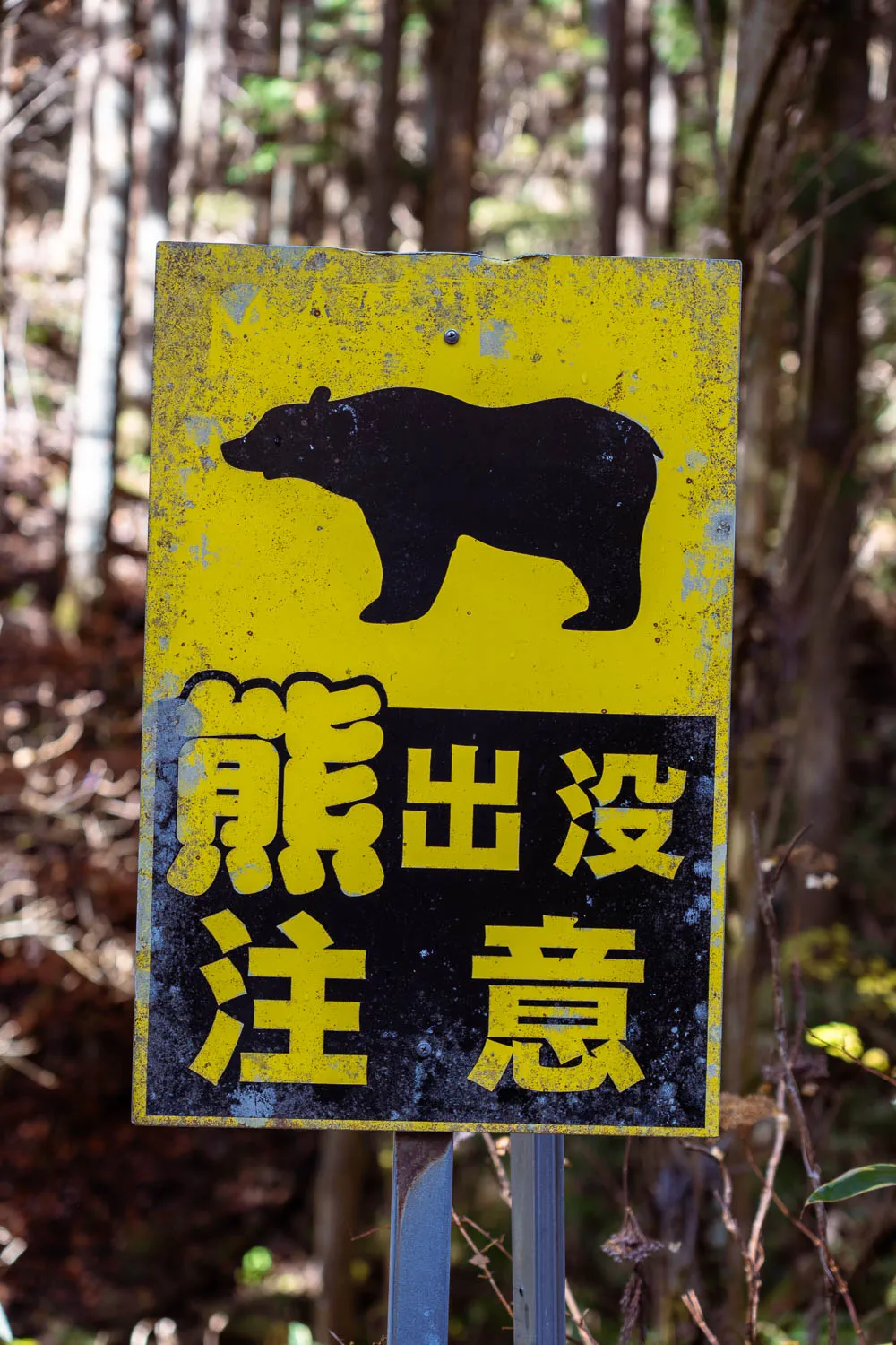 mejor seguro de viaje a Japón