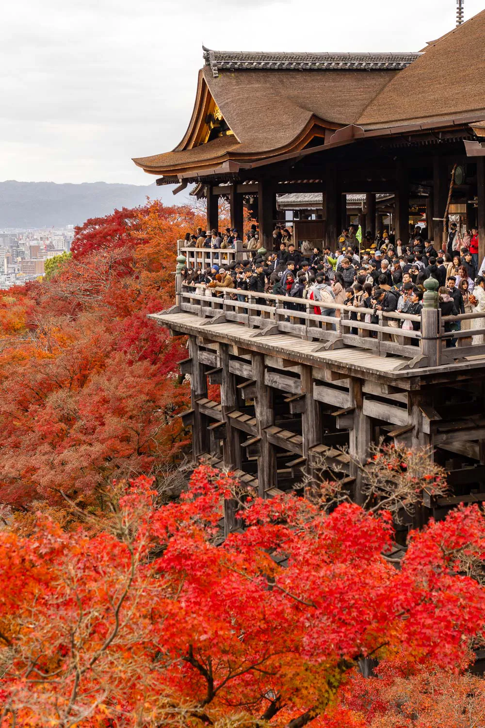 Templo Kiyomizu-dera en otoño durante el momiji, uno de los mejores lugares que ver en Kioto