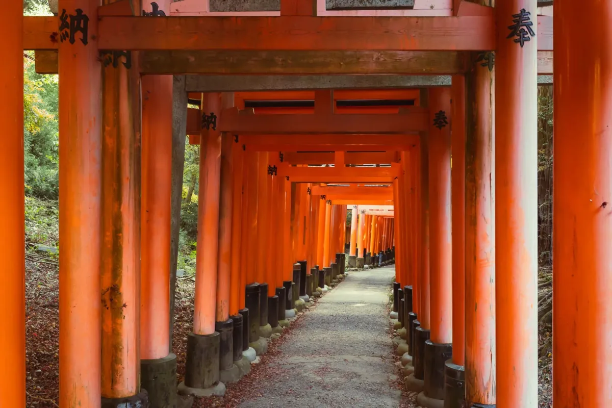 Sendero de torii en Fushimi Inari sin turistas