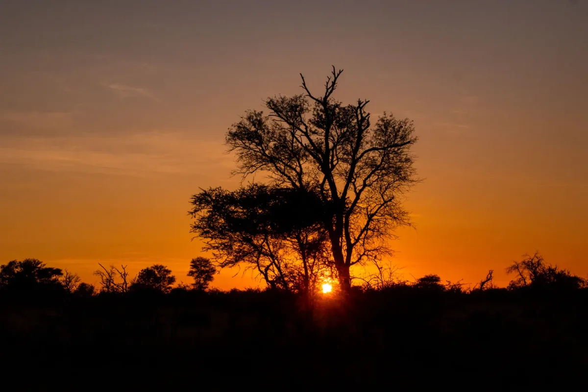 Amanecer desde el coche abierto del safari que hicimos en el Parque Kruger