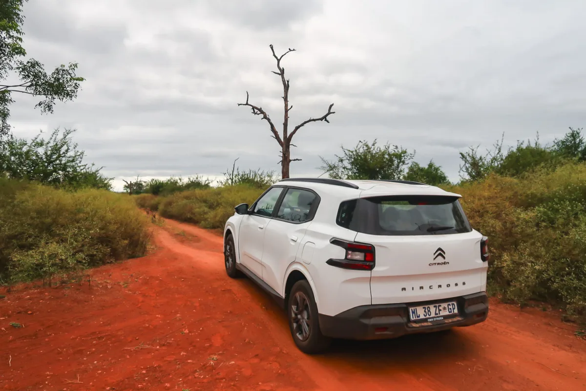 Coche blanco por un camino de arena y vegetación, circulando por el Kruger