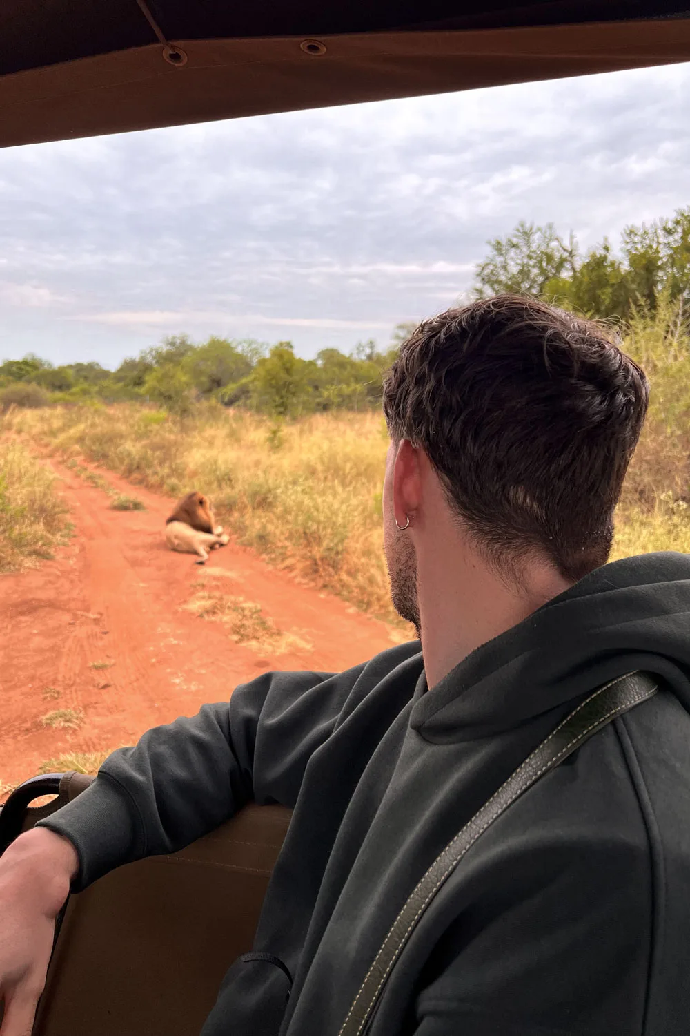 Vistas desde el coche de un safari con un león tumbado, en Hlane, Esuatini.