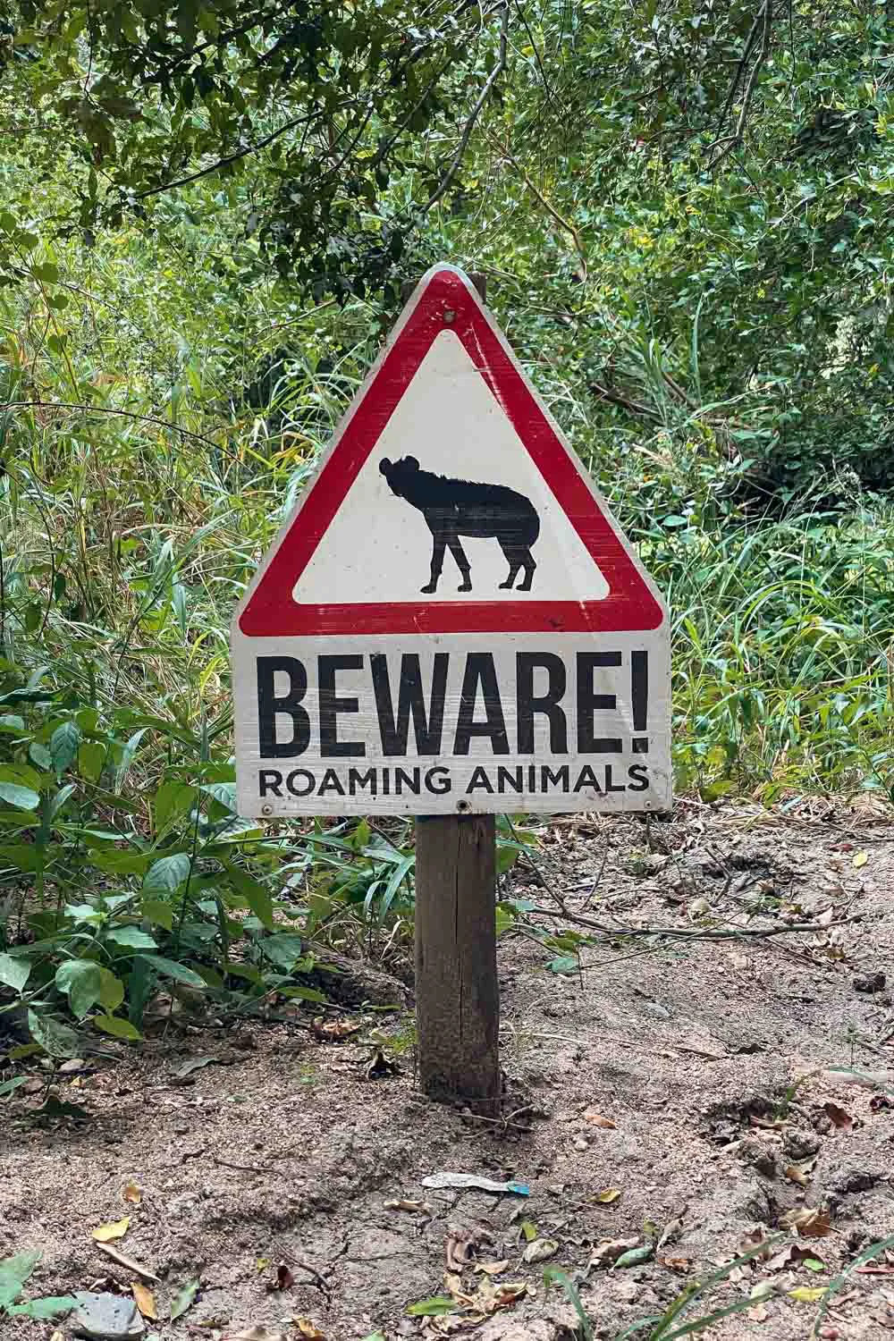 Señal de advertencia de animales salvajes en la zona
