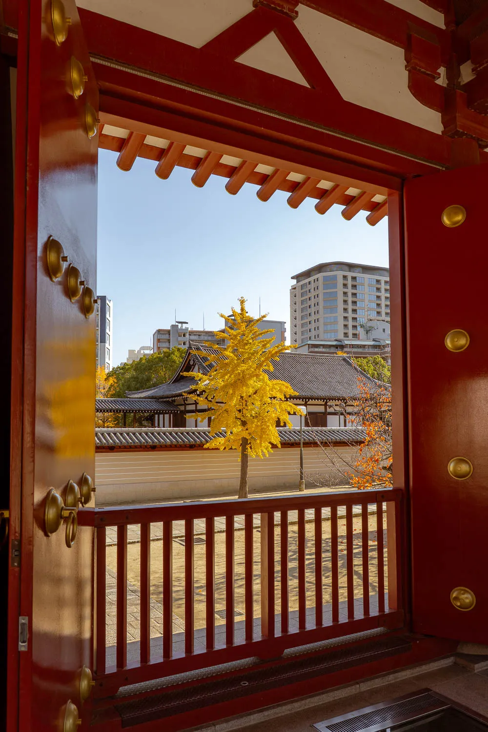 vistas de árbol con hojas amarillas y edificios a través de ventana grande del templo Shitenno-ji en Osaka