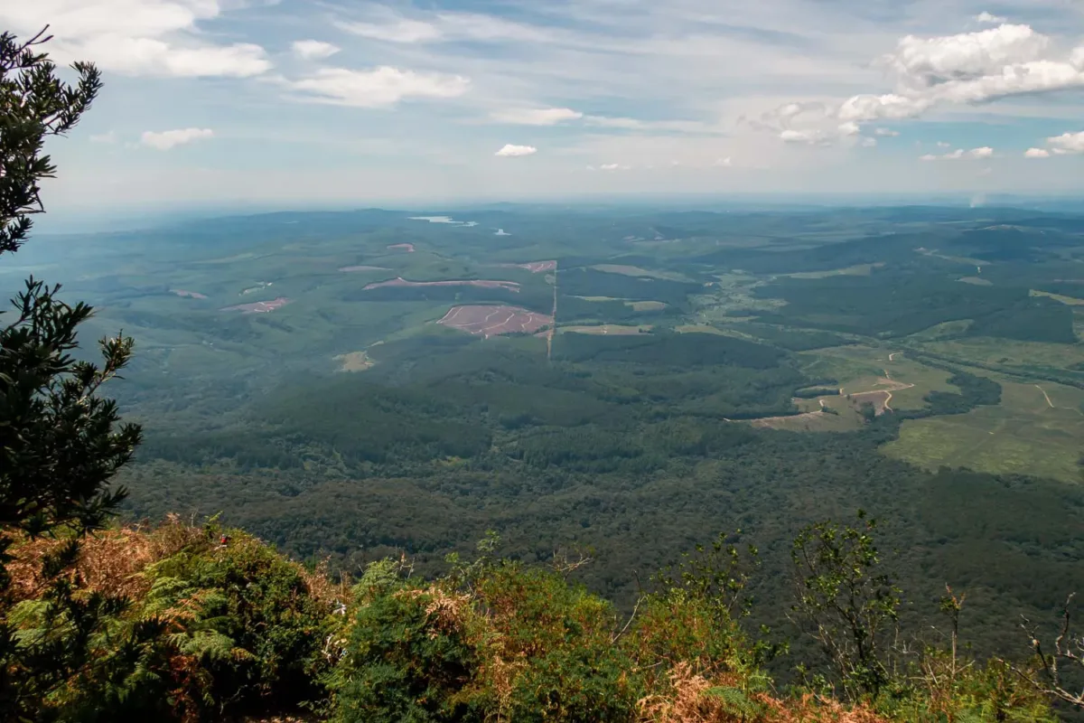 Vista de un paisaje inmenso, verde y frondoso haciendo la Ruta Panorama de Sudáfrica