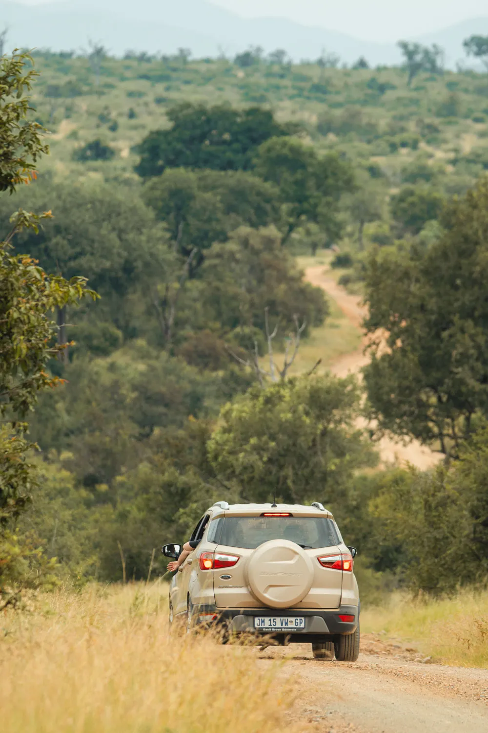 Recorriendo en Parque Nacional Addo en coche durante un safari por libre